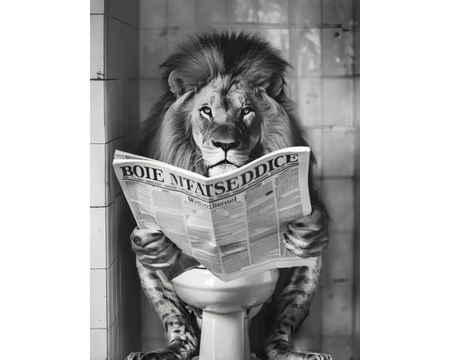 Löwe sitzt auf Toilette und liest Zeitung