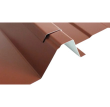 Trapezblech für Dacheindeckung