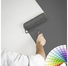 "Eine Person streicht eine Wand mit einer Farbwalze