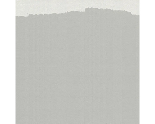 Peinture murale appliquée