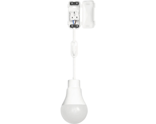 Lampe à économie d''énergie avec boîte de dérivation ouverte