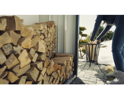 Abri à bois avec bois de chauffage empilé et femme remplissant un panier de bois