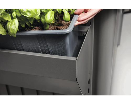 Jardinière surélevée avec bac rapporté et herbes aromatiques