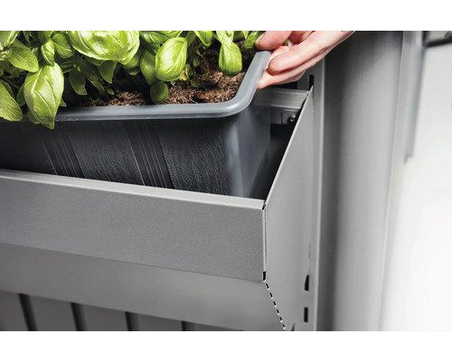 Jardinière de balcon avec insert à plantes et plantation
