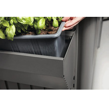 Une personne place une jardinière dans une structure métallique avec des plantes