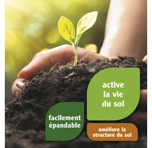 Jeune plante dans la main sur terre avec des instructions pour l''amélioration du sol.