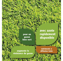 Informations sur l''azote, les nutriments et la résistance du gazon