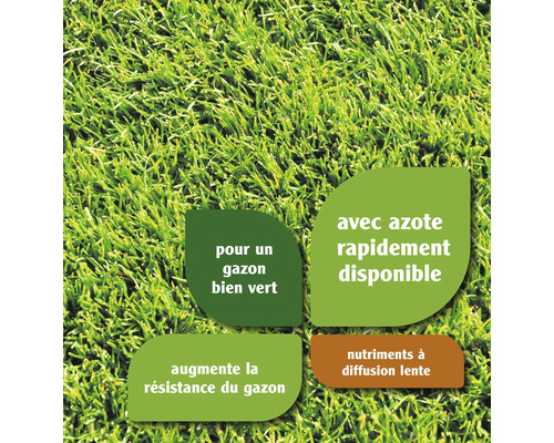 Informations sur l''azote, les nutriments et la résistance du gazon