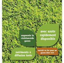 Informations sur les produits pour gazon concernant l''azote, les nutriments et le fer