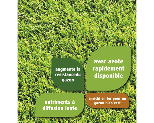 Informations sur les produits pour gazon concernant l''azote, les nutriments et le fer
