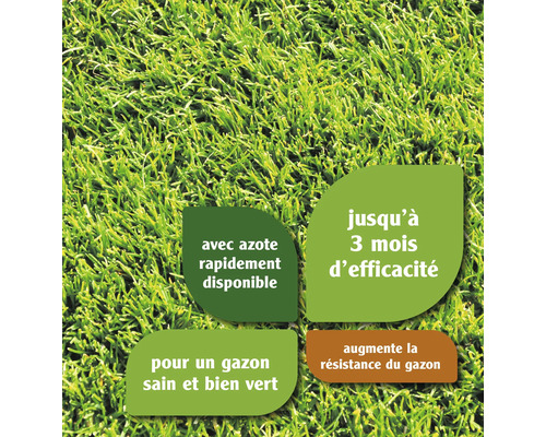Gros plan sur du gazon avec des indications sur l''azote, la durée d''efficacité et la résistance