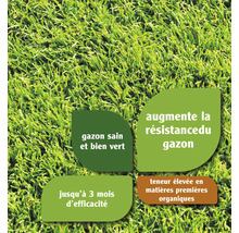 Gros plan sur une pelouse avec des informations textuelles sur ses propriétés