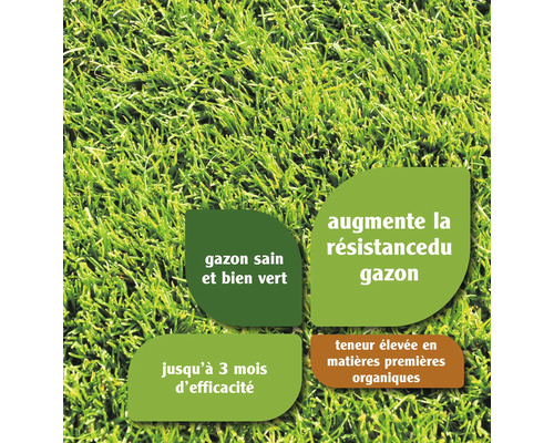 Gros plan sur une pelouse avec des informations textuelles sur ses propriétés