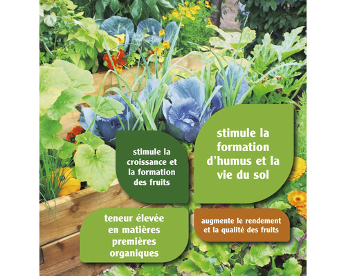 Potager avec différentes plantes et informations sur leur croissance et la qualité du sol