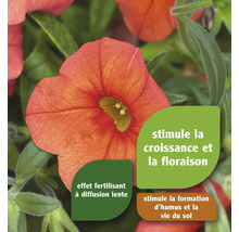 Fleur avec des informations sur la promotion de la croissance et la fertilisation