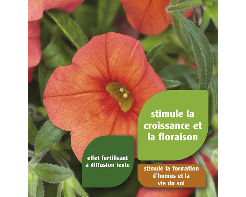 Fleur avec des informations sur la promotion de la croissance et la fertilisation