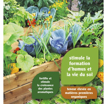 Jardinière surélevée avec divers légumes et herbes.