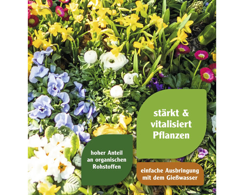 Blumenbeet mit Pflanzennahrung zur Stärkung und Vitalisierung der Pflanzen
