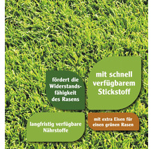 Nahaufnahme von Gras mit Hinweisen zu Widerstandsfähigkeit, Stickstoff, Nährstoffen und Eisenzusatz