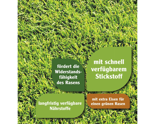 Nahaufnahme von Gras mit Hinweisen zu Widerstandsfähigkeit, Stickstoff, Nährstoffen und Eisenzusatz