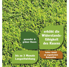 Informationen zu gesundem Rasen und erhöhter Widerstandsfähigkeit