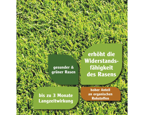 Informationen zu gesundem Rasen und erhöhter Widerstandsfähigkeit