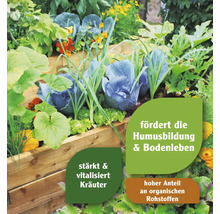 Hochbeet mit verschiedenen Gemüsesorten und Kräutern.