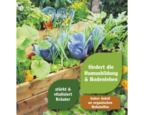 Hochbeet mit verschiedenen Gemüsesorten und Kräutern.