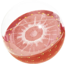 Boule décorative fraise pour l''intérieur