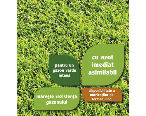 Gros plan sur une pelouse avec des informations sur un vert intense, de l''azote immédiatement disponible, une résistance accrue de la pelouse et une disponibilité des nutriments à long terme