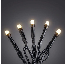 Guirlande lumineuse LED avec lumières blanc chaud et câble noir