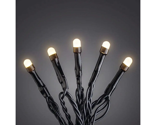 Guirlande lumineuse LED avec lumières blanc chaud et câble noir