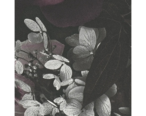 Gros plan sur des fleurs et des feuilles d''hortensia