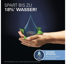 Wassersparendes Produkt mit maximal 6,5 Liter Durchfluss pro Minute