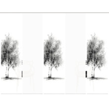 Schiebegardine mit Birkenmotiv