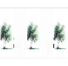 Fototapete mit Birkenmotiv