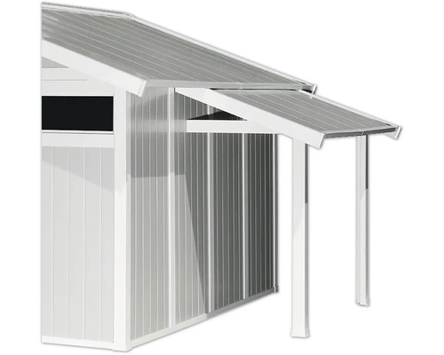 Vue détaillée d'un abri de jardin avec auvent