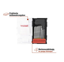 Stichsägeblätter Set in Aufbewahrungsbox