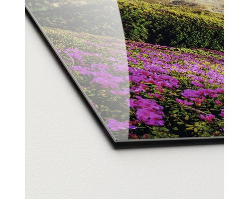 Nahaufnahme einer Acrylglasplatte mit Blumenmotiv