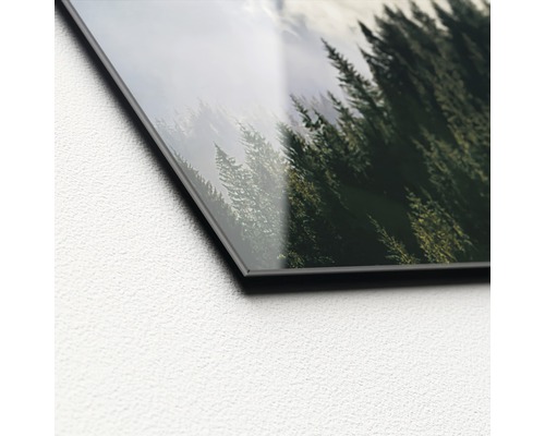 Gros plan d''une photo en verre acrylique avec un motif de forêt