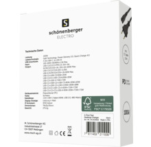 Schönenberger Electro 100 Watt Desktop Ladegerät mit vier Anschlüssen in Schwarz Verpackung