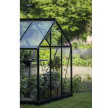 Gewächshaus mit Pflanzen im Garten