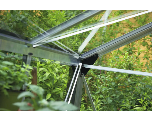 Detailansicht eines Gewächshausrahmens aus Metall und Glas