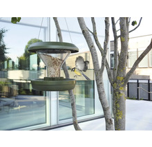 Oiseau volant vers une mangeoire suspendue dans le jardin.