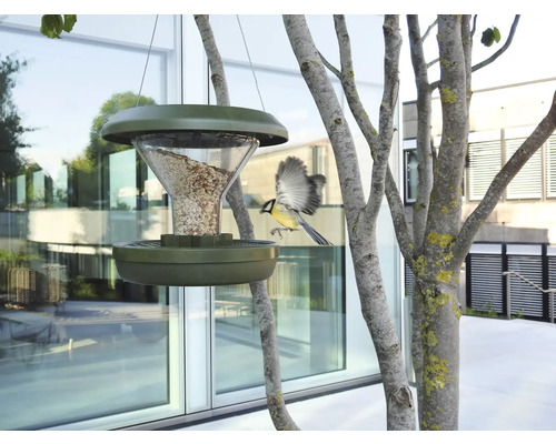 Oiseau volant vers une mangeoire suspendue dans le jardin.