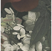 Nahaufnahme von Hortensienblättern und -blüten