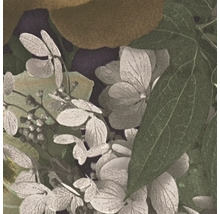 Nahaufnahme von Hortensienblüten und Blättern