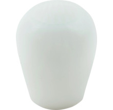 Lampenschirm aus Glas