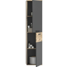 Armoire haute avec porte et tiroirs pour la salle de bain