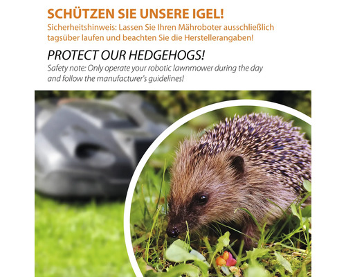 Information zur Sicherheit von Igeln bei der Verwendung von Rasenmährobotern